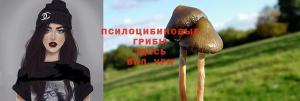 первитин Арсеньев