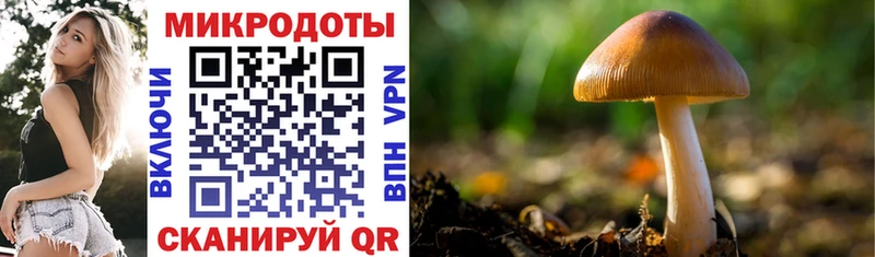 Галлюциногенные грибы Psilocybine cubensis  где продают наркотики  Жиздра 