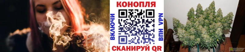 купить закладку  Жиздра  Бошки марихуана семена 